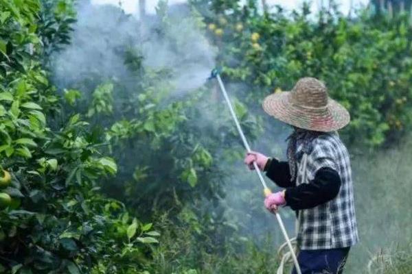戊唑醇的主要作用，主要用于防治小麦、水稻等作物上的多种病害