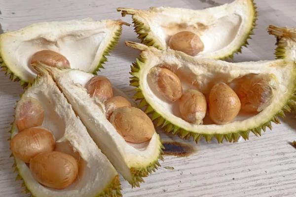 榴莲核可以吃吗，直接剥皮食用或采取以下4种方法