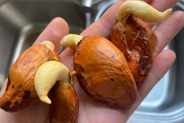 榴莲核可以吃吗，直接剥皮食用或采取以下4种方法