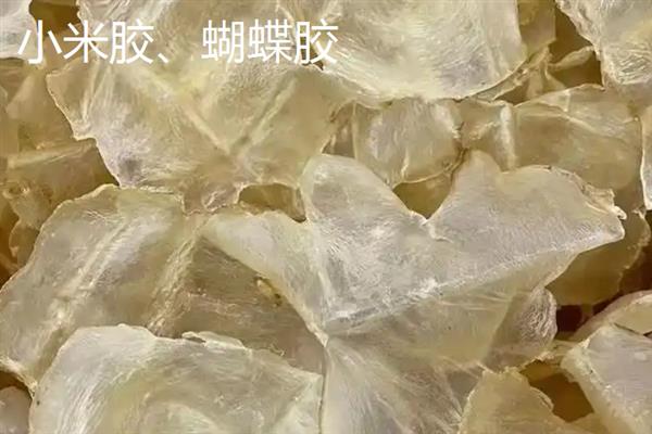 花胶的品种介绍，常见的有小米胶、蝴蝶胶、淡水黄花胶等