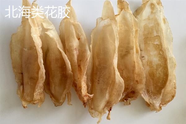 花胶的品种介绍，常见的有小米胶、蝴蝶胶、淡水黄花胶等