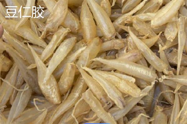 花胶的品种介绍，常见的有小米胶、蝴蝶胶、淡水黄花胶等