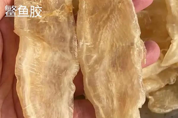 花胶的品种介绍，常见的有小米胶、蝴蝶胶、淡水黄花胶等