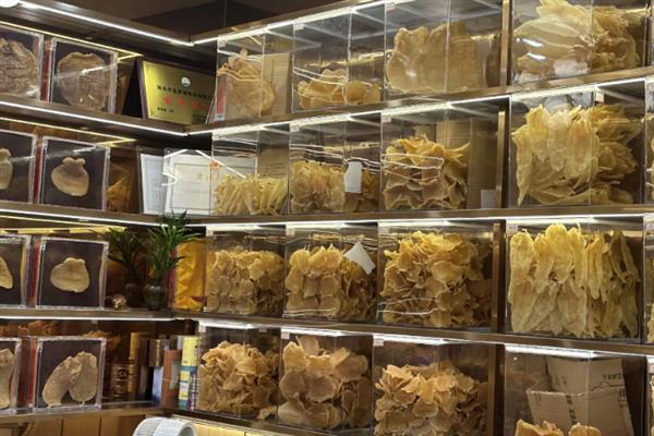 花胶的品种介绍，常见的有小米胶、蝴蝶胶、淡水黄花胶等