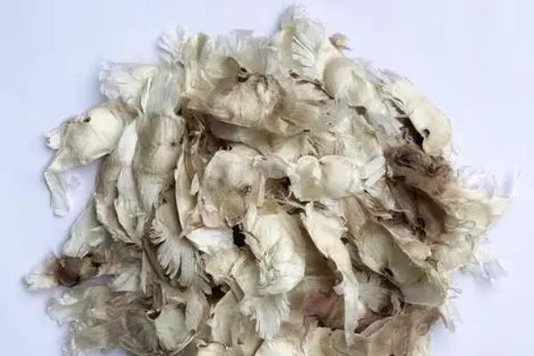 怎么鉴定紫花风铃木，从外观便可鉴别