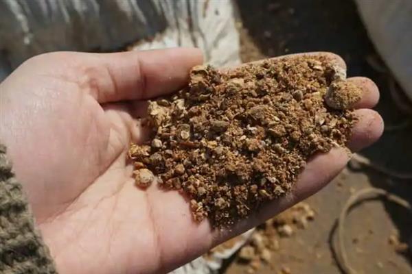 幸福树适合用什么肥料，可使用复合肥、钾肥、豆饼肥等